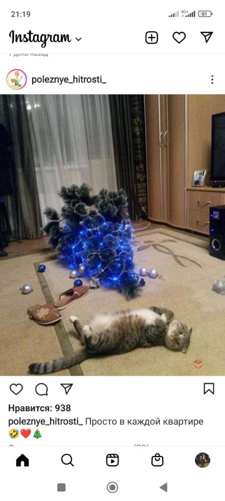 Create meme "cats, cat and Christmas tree, the cat and the tree ...