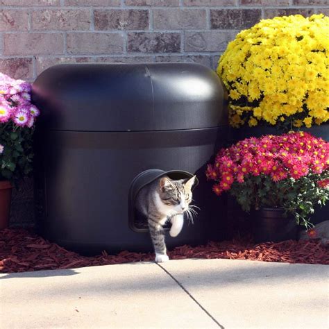 Outdoor Home For Cat at Vickie Cook blog