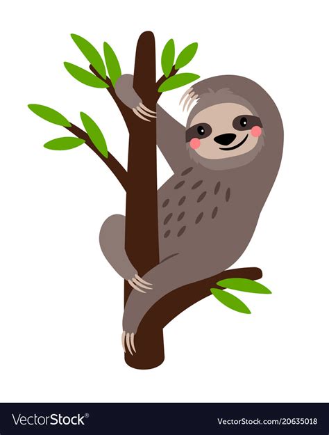 Sloth cute bear animal character Royalty Free Vector Image