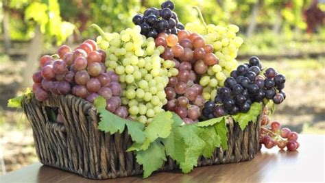 The Different Types of Grapes for Eating & Making Wine - NDTV Food