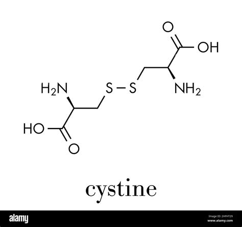 Molécula de cistina. El dímero oxidado del aminoácido cisteína. Fórmula ...