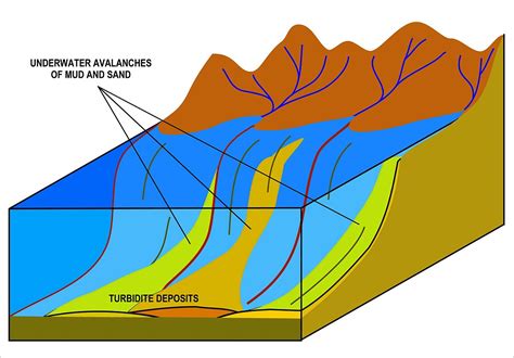 Turbidite - Wikipedia