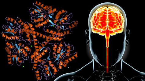 Cracking the code of Huntington's disease - EPFL