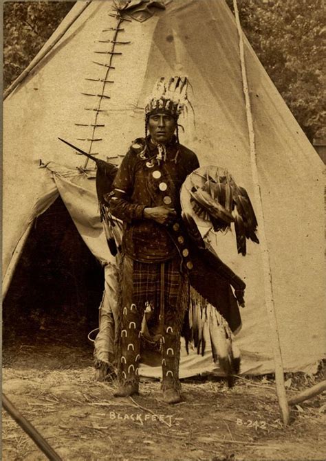 Native American Indian Pictures: Blackfoot/Blackfeet Indian Tipis