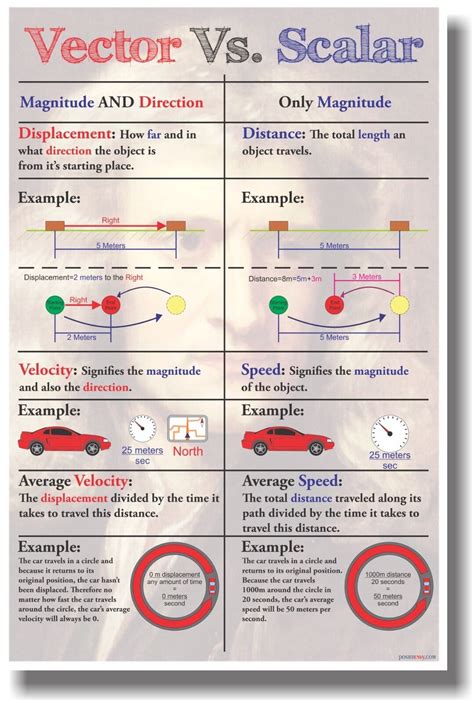 Scalar And Vector Worksheet