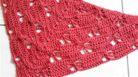 Whitney Knits: Free Crochet Butterfly Stitch Shawl Pattern