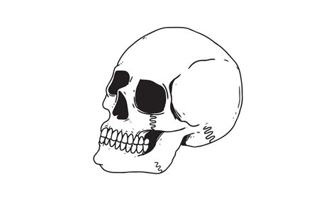 skull side view isolated on white background. outlined cartoon drawing of creepy, gothic, death ...