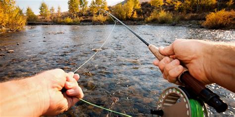 5 Types of Fishing Lines You Need to Know Before You Buy! - 33rd Square