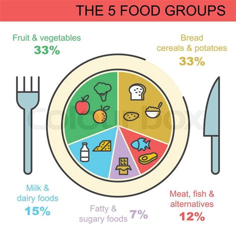 The 5 food groups, vector outline ... | Stock Vector | Colourbox