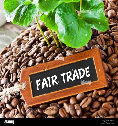 Coffee beans and fair trade label Stock Photo - Alamy