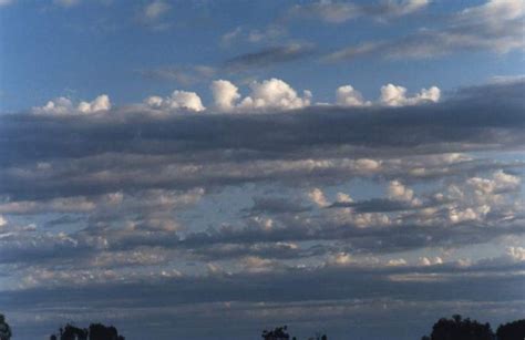 Stratocumulus castellanus | Clouds, Search, Safari