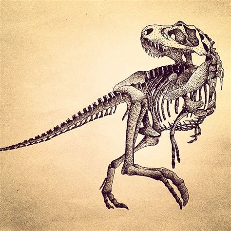 T Rex Skull Drawing at GetDrawings | Free download