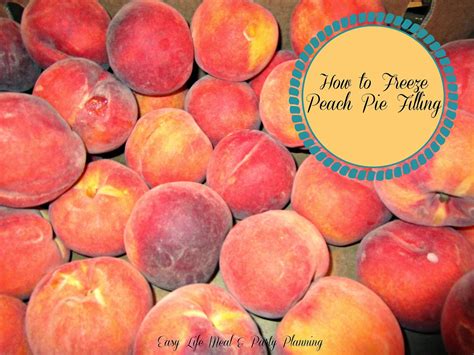 Easy Life Meal and Party Planning: How to Freeze Peach Pie Filling & Peaches in Syrup in 5 Easy ...
