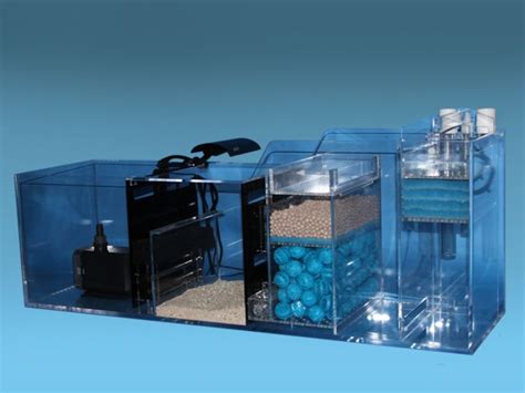 Image result for sumps for freshwater aquariums | Aquarium sump, Saltwater aquarium setup, Aquarium