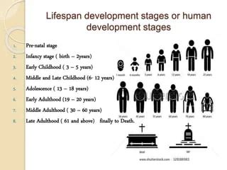 Unit 1 Human Lifespan Development - Revision Booklet | Teaching Resources