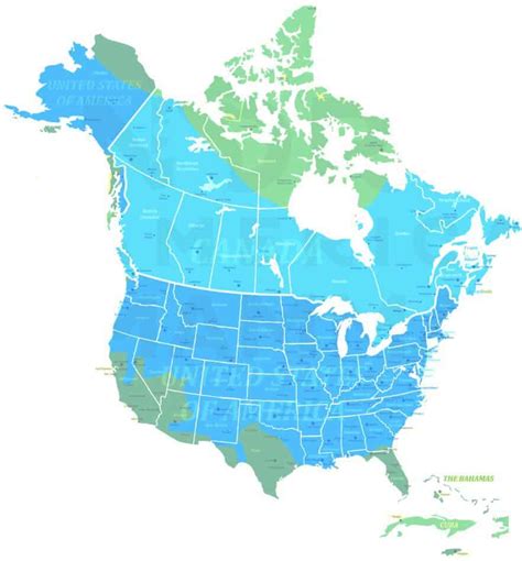 Common Muskrat – North American Nature