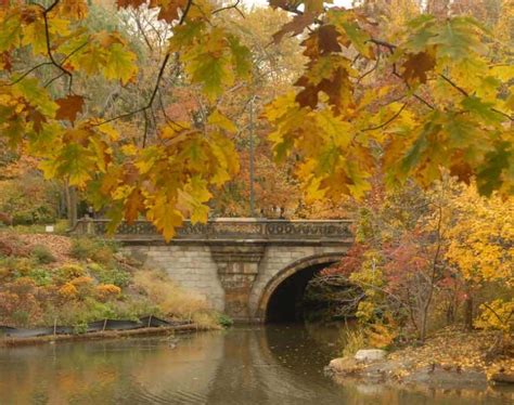 Balcony Bridge - Central Park Conservancy