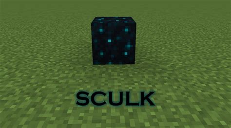 Sculk Blocks in Minecraft: Cool Types and Uses