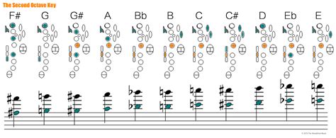 How To Play D Flat On Alto Saxophone at irajlorenzeno blog