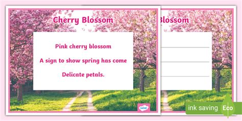 Cherry Blossom Haiku Poem Example (teacher made) - Twinkl