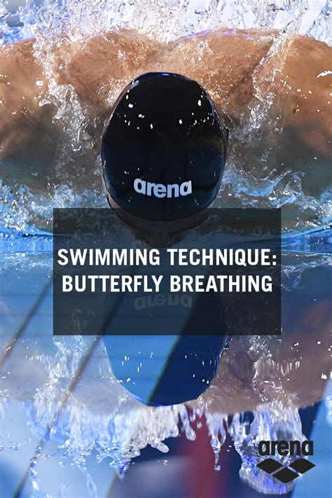 Swimming Technique: Butterfly Breathing in 2020 | Swim technique ...