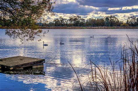 Cameron Park Lake Photograph by Steph Gabler - Fine Art America