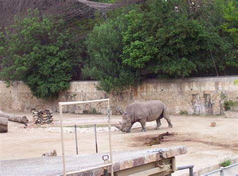 San Antonio Zoo