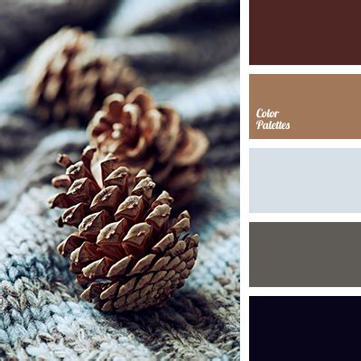 dark brown | Color Palette Ideas