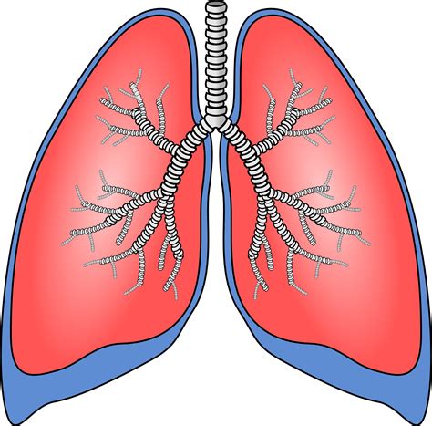 Scientists discover how air pollution triggers lung cancer