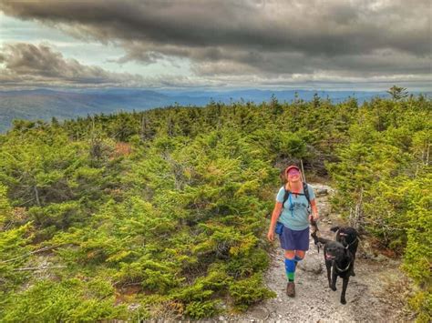 Highlights of the Green Mountain National Forest in Vermont