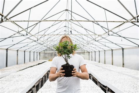 Bonsai | SequoiaTrees.com – The Jonsteen Company