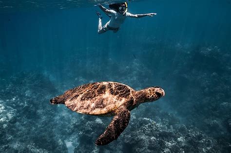 Lanai, Hawaii - WorldAtlas