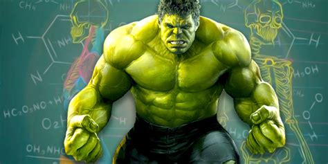 Avengers Anatomy: The 5 Weirdest Things About Hulk's Body, Explained