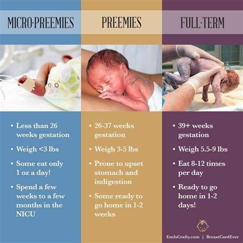 It s prematurity awareness month an interview with micropreemie dad eric – Artofit