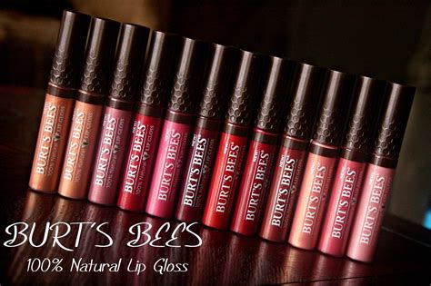 Makeup, Beauty and More: Burt's Bees 100% Natural Lip Gloss