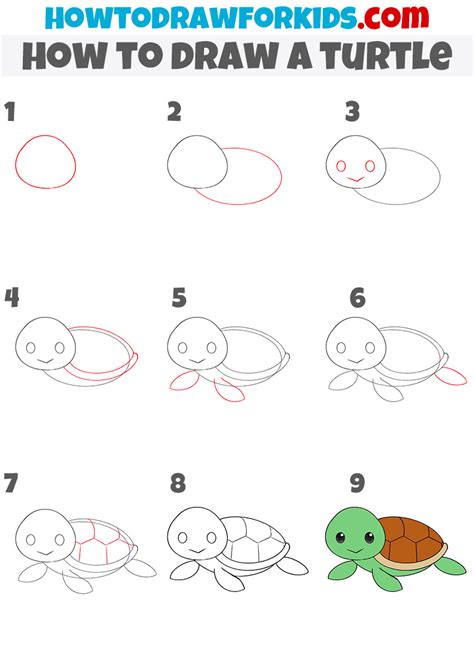 How to Draw a Turtle - Easy Drawing Tutorial For Kids