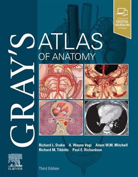 Gray’s Atlas of Anatomy, 3rd Edition | VetBooks