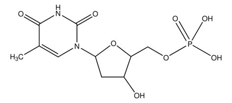 Thymidine 5′-monophosphate 98-100% | Sigma-Aldrich