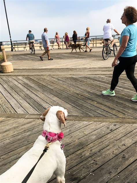 Asbury Park Boardwalk: Asbury Park | Cello's Corner