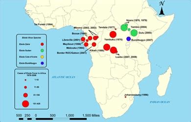 Ebola Virus Disease | Ebola Hemorrhagic Fever: Cause Symptoms Diagnosis Treatment