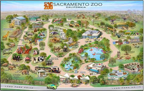 10 Reasons Why You Will Love The Sacramento Zoo | THIS MOM IS GOING PLACES