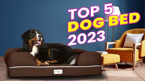 Top 5 Dog Bed 2023 | Best Dog Bed Buying Guide - YouTube