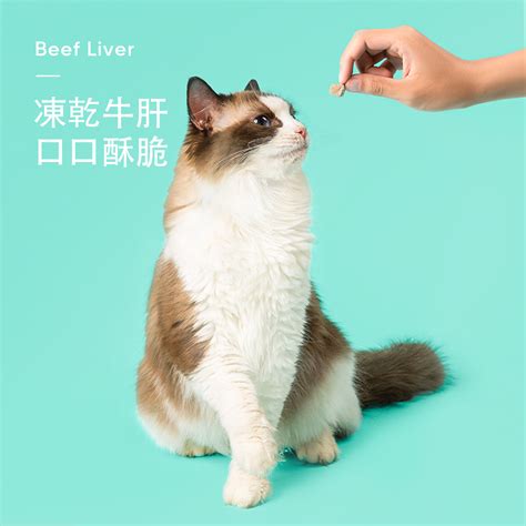 Freeze Dried Beef Liver – Petisan
