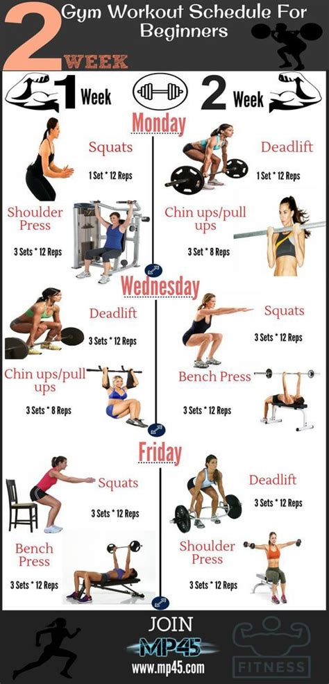 #2 Week Gym Workout Schedule For Beginners | Gym workout schedule ...