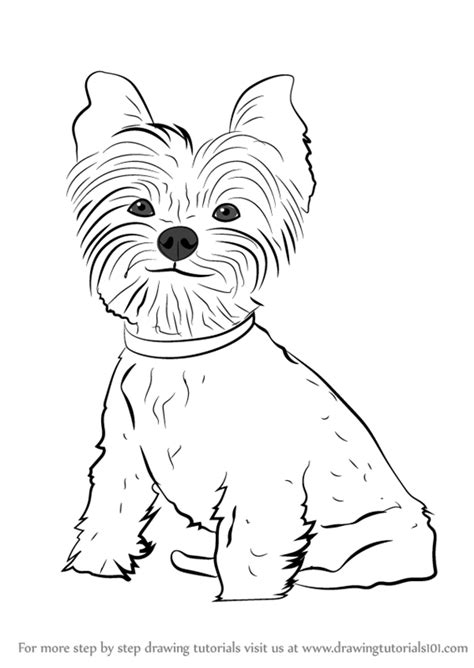 Teacup Yorkie Coloring Pages Coloring Pages