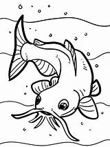 Catfish For Kids coloring Page sketch template