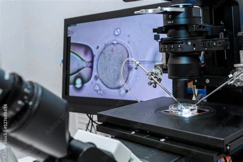 Modern IVF micromanipulator with Petri Dish in the laboratory of the in ...