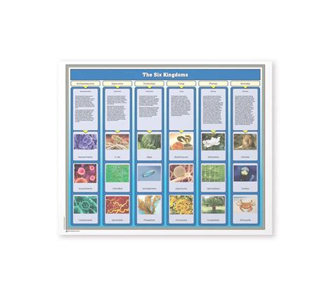 Six Kingdoms Chart