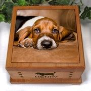 Laser Engraved Pet Urns Dog & Cat 5x5The Trophy Trolley