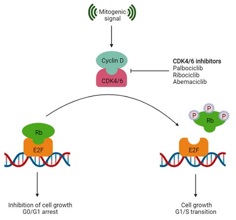 Molecules | Free Full-Text | Virtual Screening for Identification of Dual Inhibitors against ...